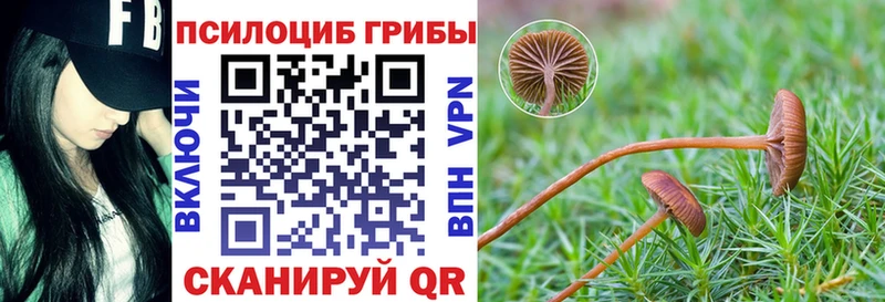 hydra ССЫЛКА  дарк нет официальный сайт  Псилоцибиновые грибы Cubensis  Каменка 